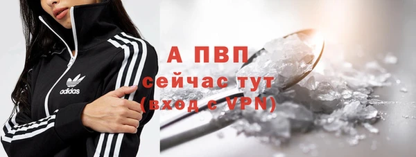эйфоретик Карпинск