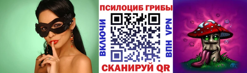 как найти наркотики  Пионерский  Псилоцибиновые грибы Magic Shrooms 